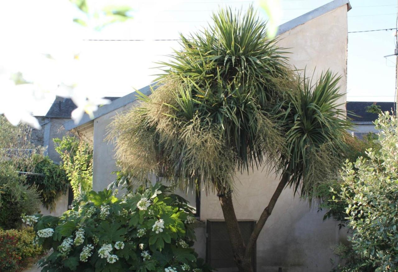 Duplex Confort Et Jardin Charmant Nantes Luaran gambar